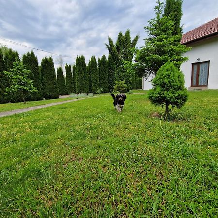 Pensiunea Bradu Hotel Hales Exterior photo